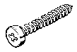 Keralitschroef RVS Torx 20